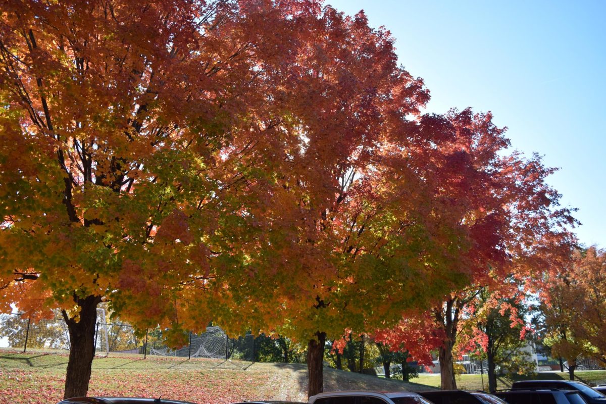 The beautiful changing colors during the fall on the Dowling Catholic campus. 