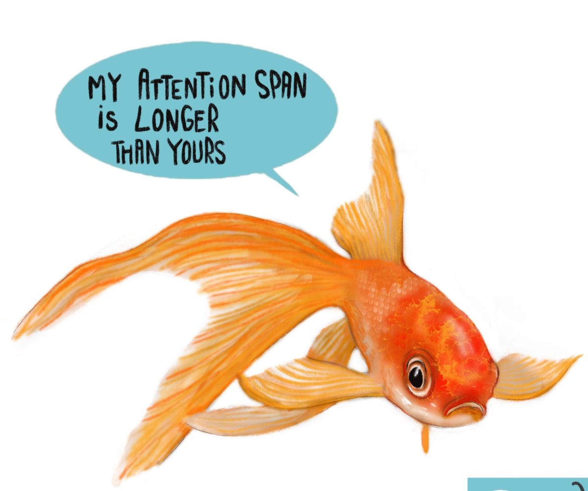 Human attention span (less than 8 seconds) vs a Goldfish's attention span (9 seconds).