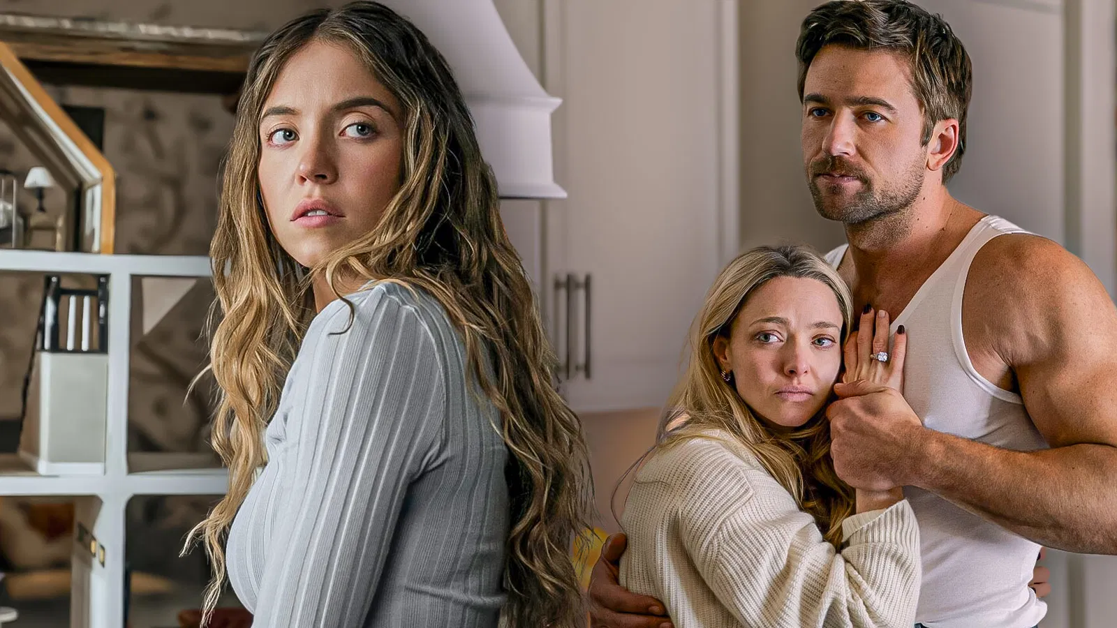 Characters in "The Housemaid" (FandomWire).